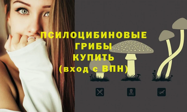 бошки Алзамай