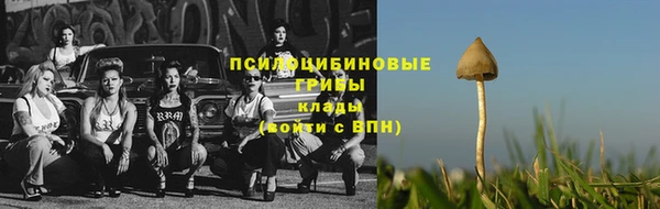 бошки Алзамай
