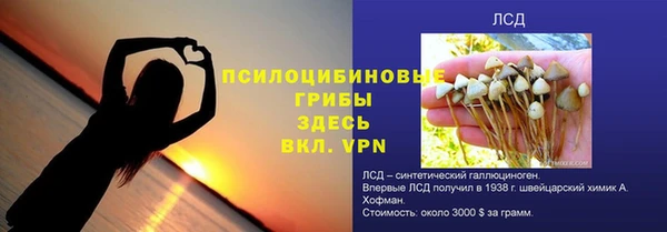 бошки Алзамай