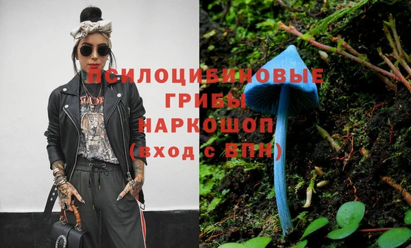 индика Алексеевка